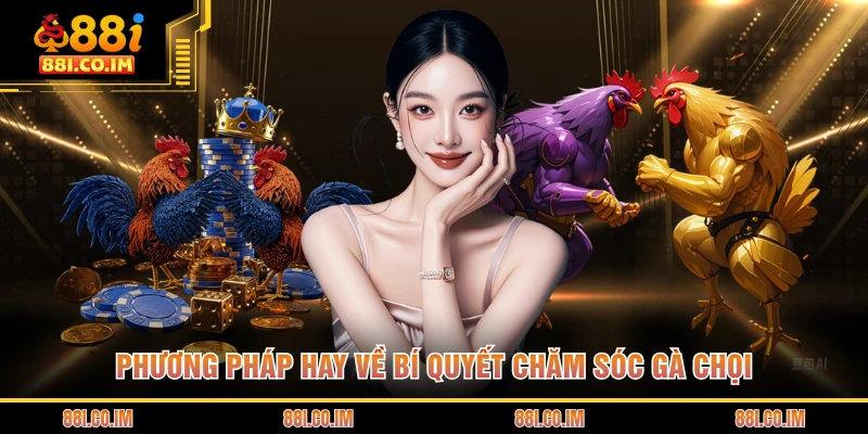Bí Quyết Chăm Sóc Gà Chọi - Nâng Tầm Chiến Kê Đỉnh Cao 1 Phương pháp hay về bí quyết chăm sóc gà chọi