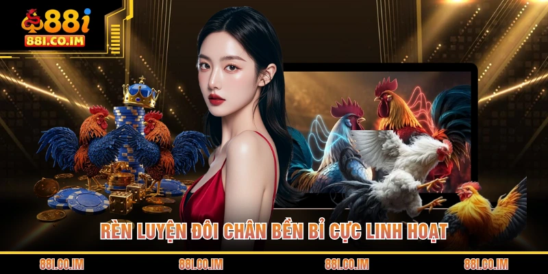 Bí Quyết Chăm Sóc Gà Chọi - Nâng Tầm Chiến Kê Đỉnh Cao 3 Rèn luyện đôi chân bền bỉ cực linh hoạt